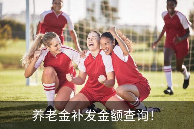 养老金补发金额查询！