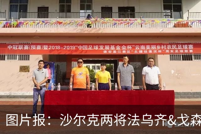 图片报：沙尔克两将法乌齐&戈森斯严重撞伤，将缺席杯赛
