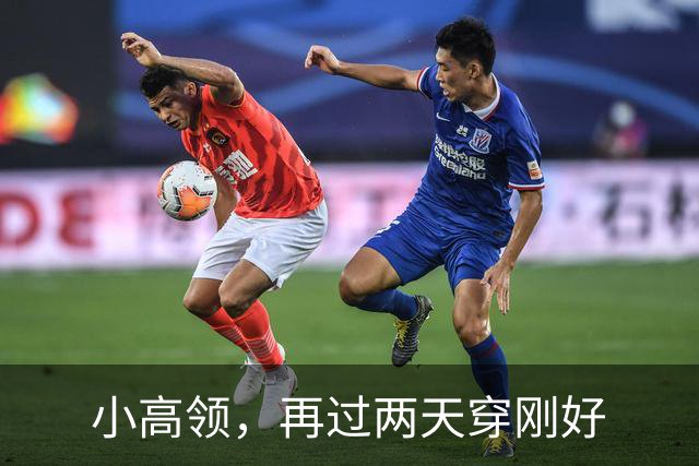 小高领，再过两天穿刚好